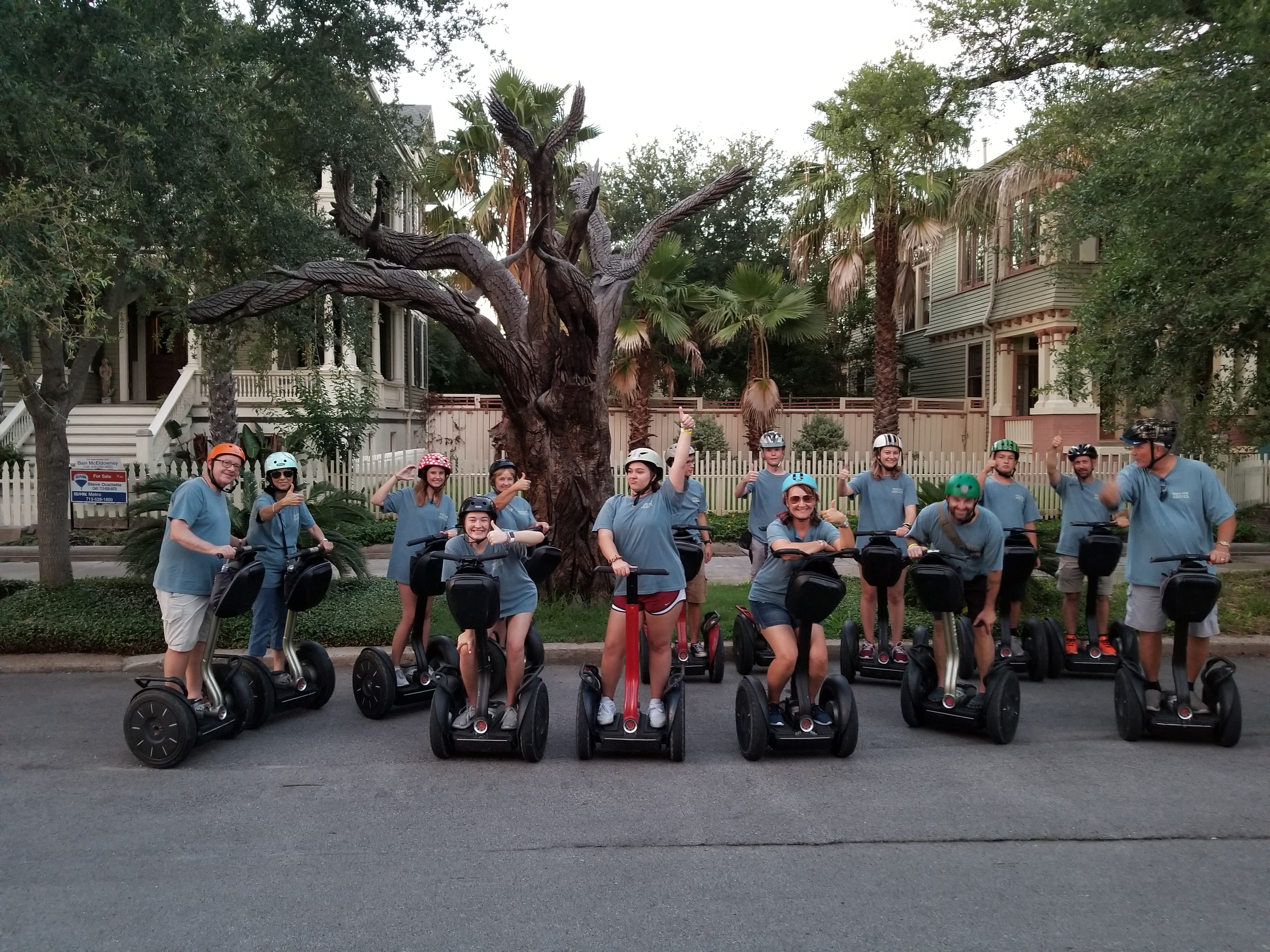 Tree Carving Tour photo 1